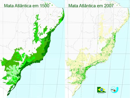 Mata Atlântica 1500 à 2007